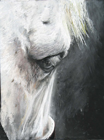 Arts for Ulster - Gillian Jagger benefiting Rondout Valley Animals for Adoption Arts for Ulster - Gillian Jagger benefiting Rondout Valley Animals for Adoption