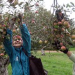Farms to Food Pantries Project