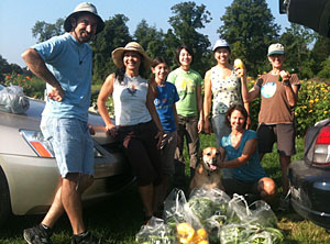 Raspberry gleaning, Tillson 8/31 Raspberry gleaning, Tillson 8/31