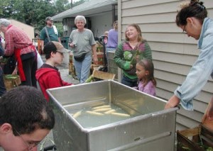Here is a photo essay of the corn processing at the Woodcrest Community this past Tuesday. It was a wonderful day.