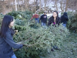 Kingston High School students assist with Tree Chipping