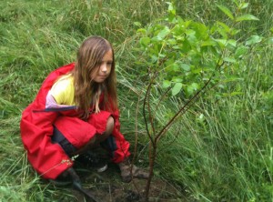 Faye Higgins, age 10, plants a tree