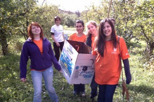 UlsterCorps Vice President Nancy Pompeo with SUNY New Paltz student volunteers gleaning apples at Little Dog Orchard, Clintondale, NY, for local soup kitchens on Make a Difference Day, October 22, 2011