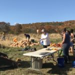Farm to Food Pantry Pumpkin Processing