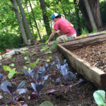 Family of Ellenville Community Garden Work Day