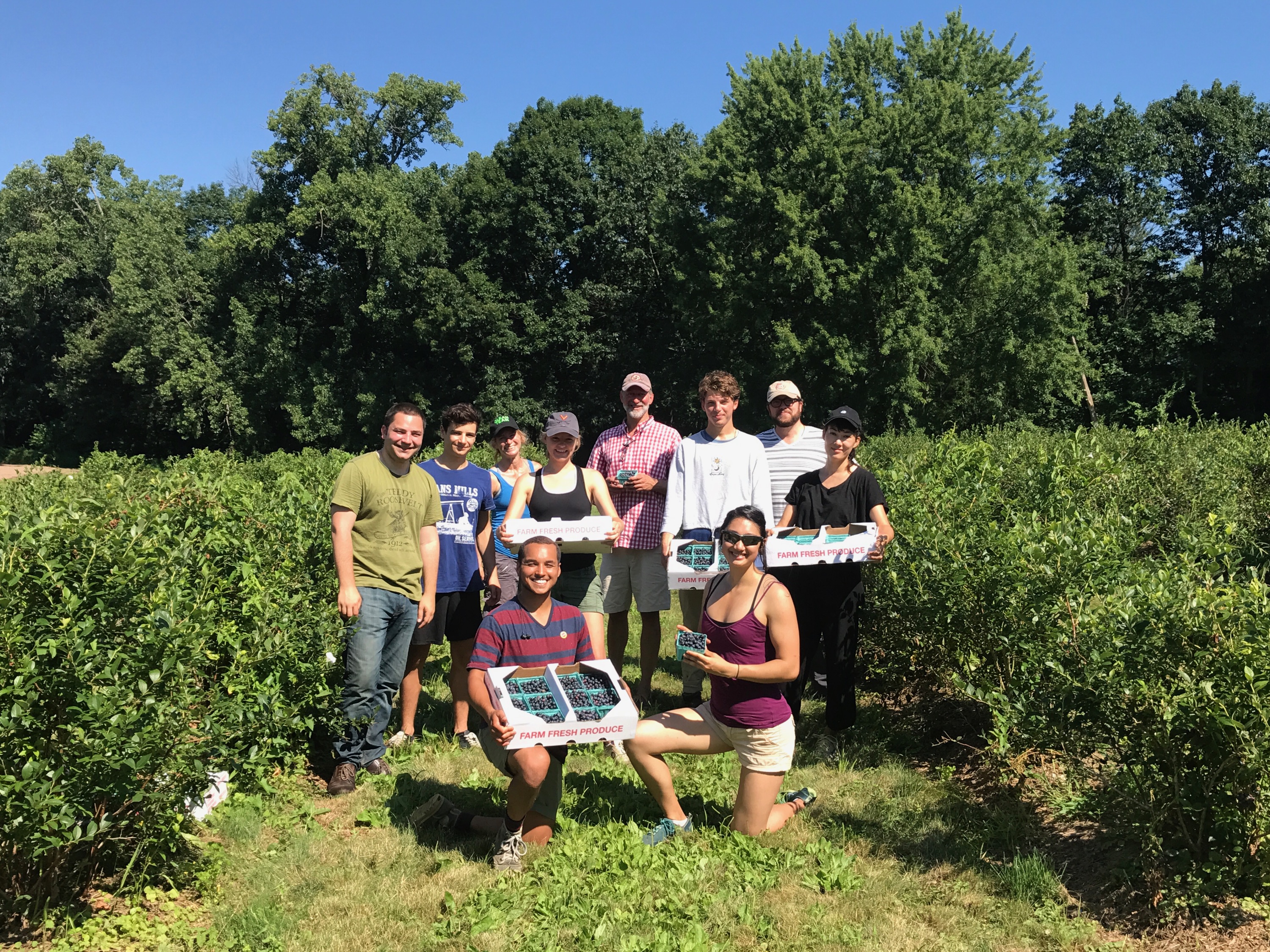 Farm to Food Pantry Blueberry Gleaning